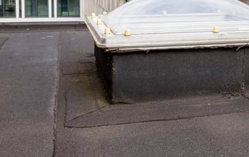 disadvantages of Cargo Fleet flat roofs